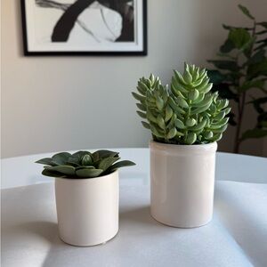 Elegant White Ceramic Planter Set with Green Succulents-Threshold